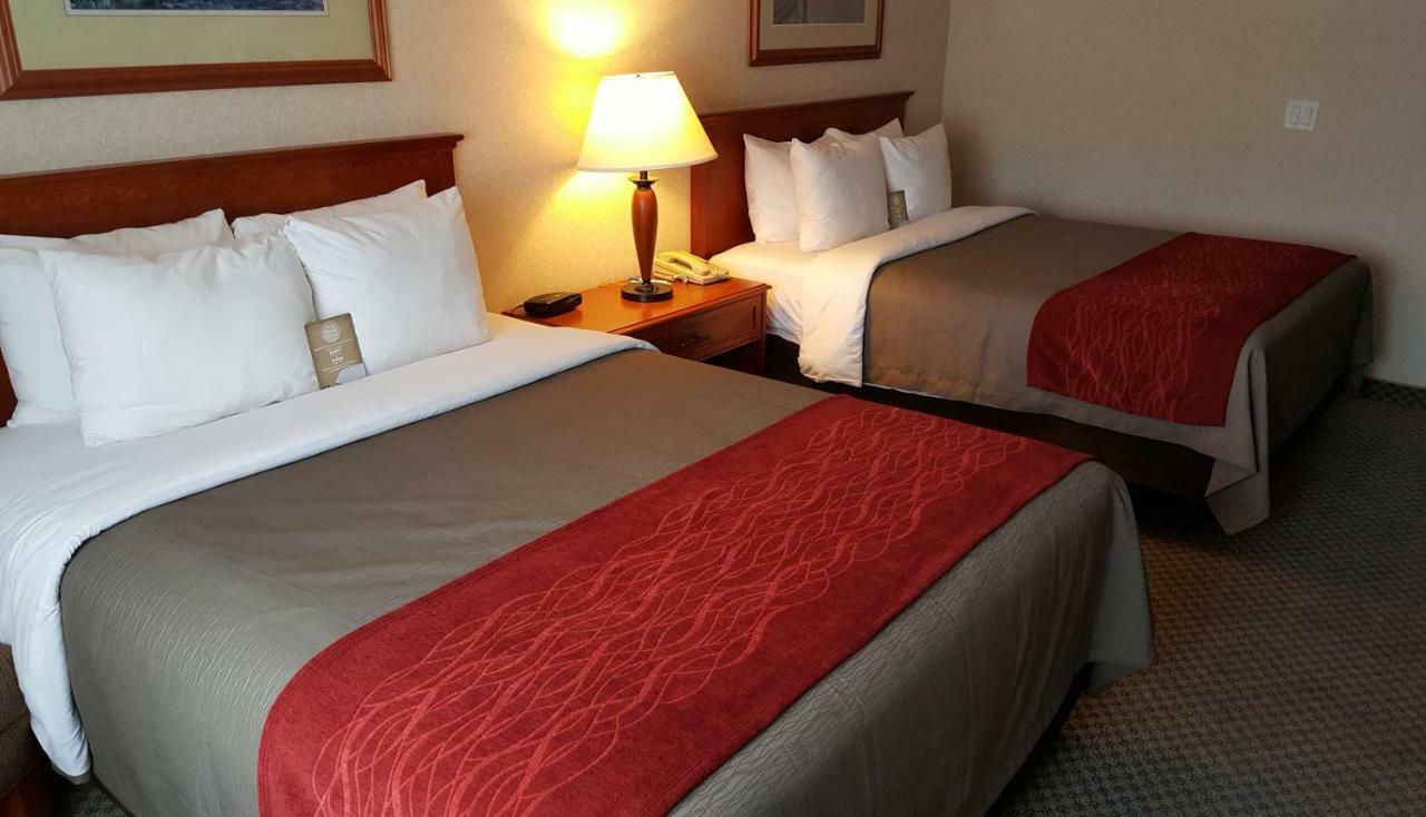 Comfort Inn & Suites Виктория Экстерьер фото