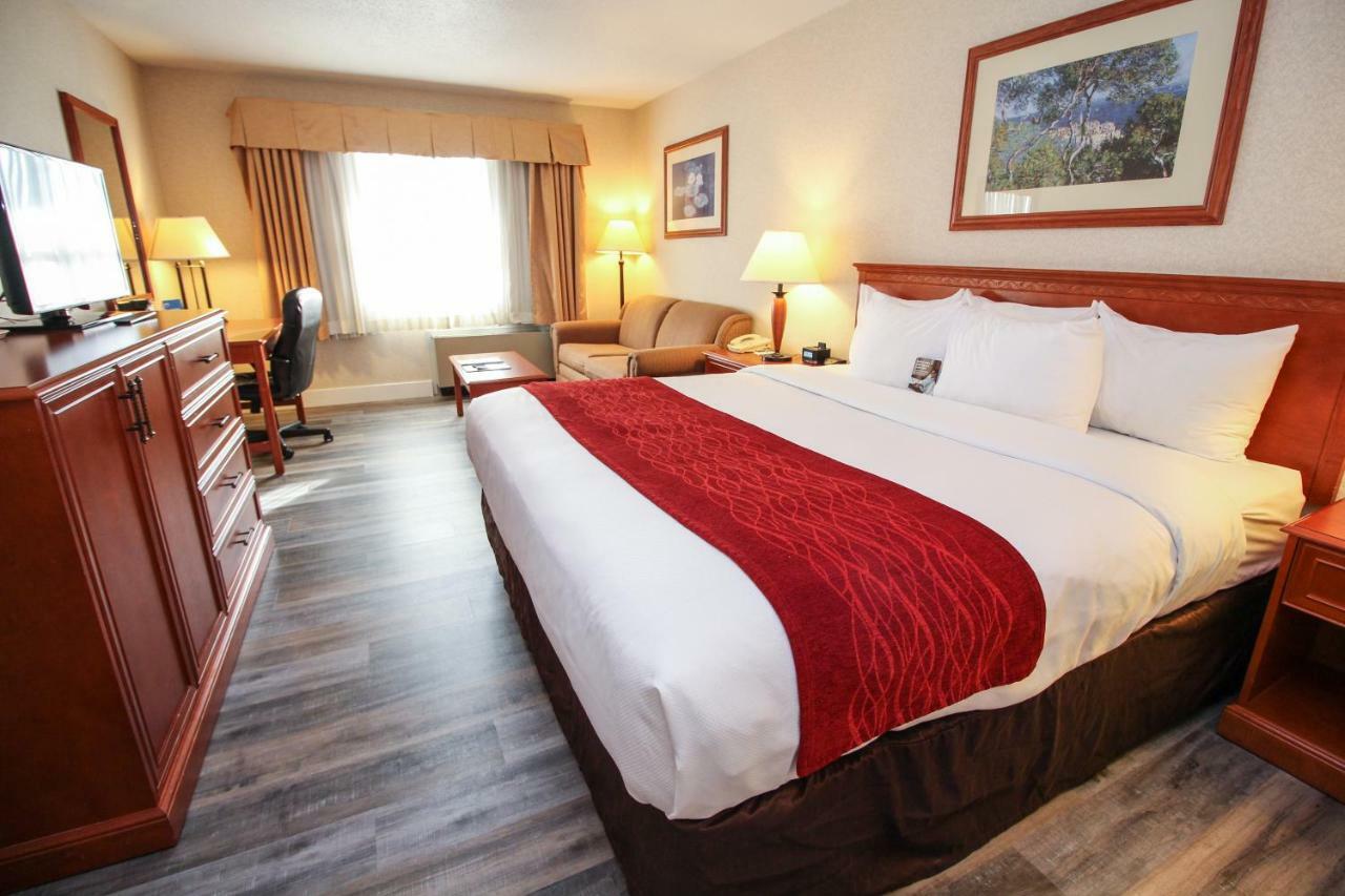 Comfort Inn & Suites Виктория Экстерьер фото